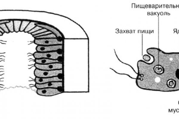 Как зарегаться в кракен